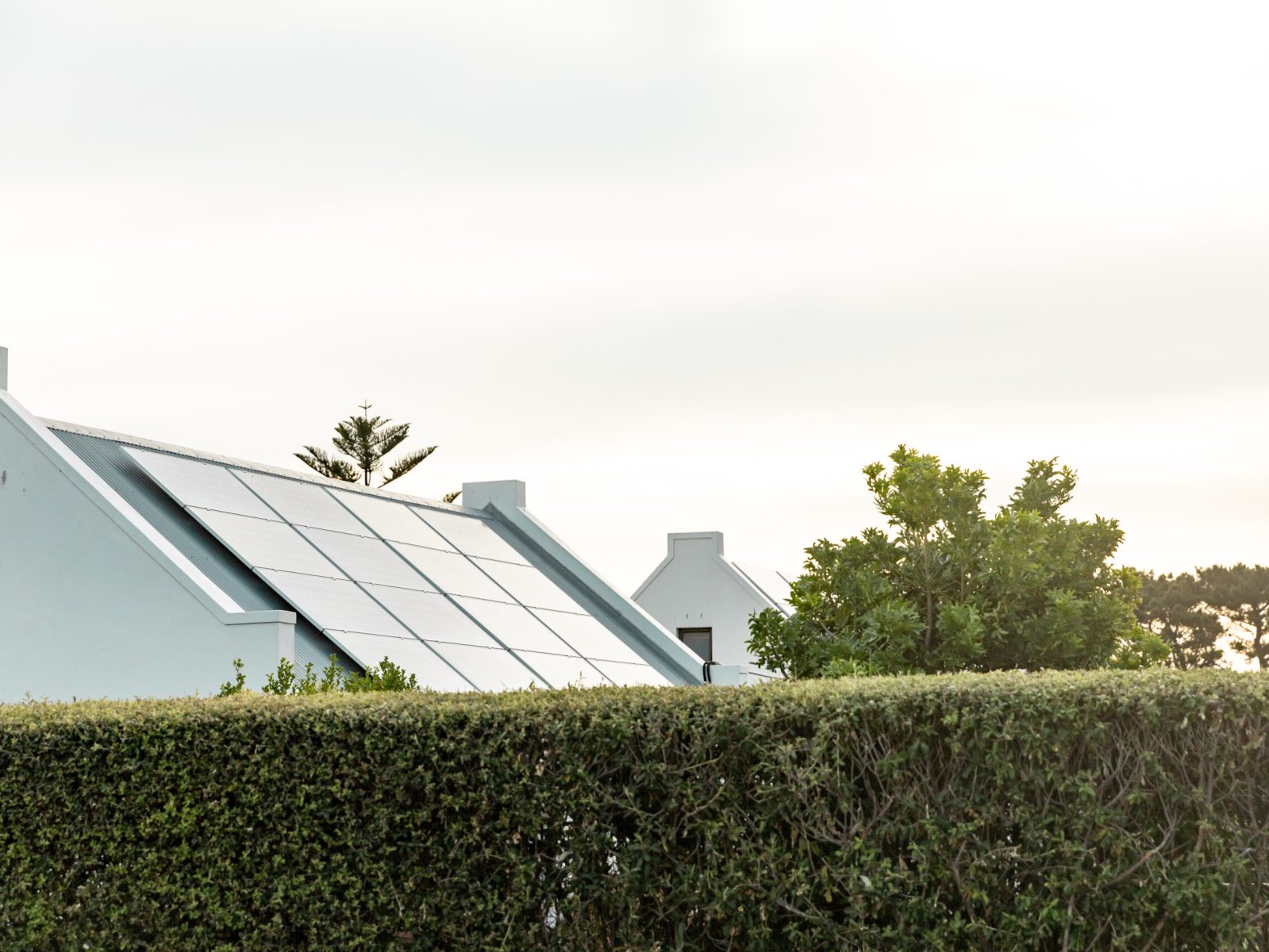 green-plants-fence-in-yard-with-solar-panels-on-ro-2025-04-05-03-49-12-utc